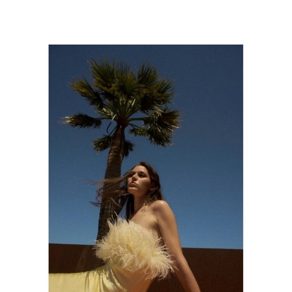 Zara Elegant Yellow Dress with Feather Detail